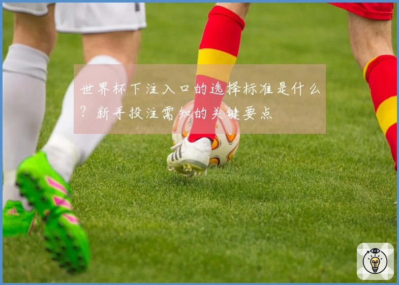 世界杯下注入口的选择标准是什么？新手投注需知的关键要点