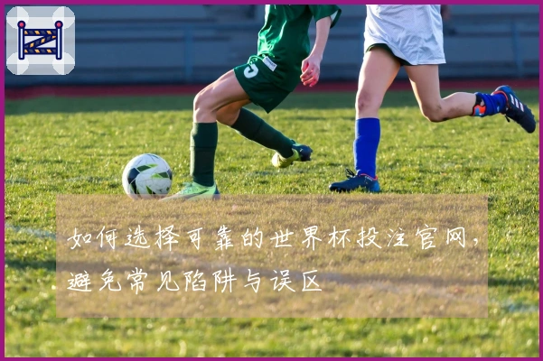 如何选择可靠的世界杯投注官网，避免常见陷阱与误区