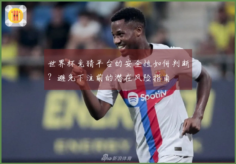 世界杯竞猜平台的安全性如何判断？避免下注前的潜在风险指南