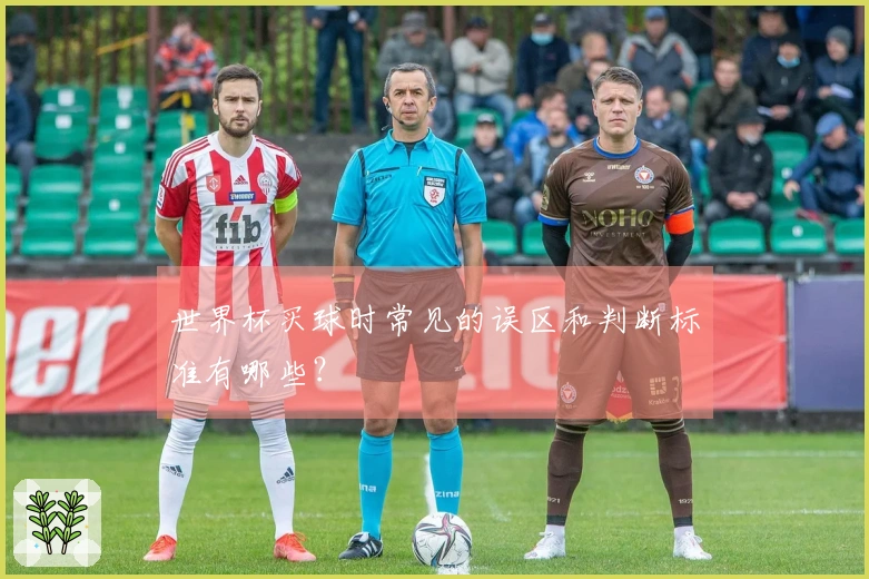 世界杯买球时常见的误区和判断标准有哪些？