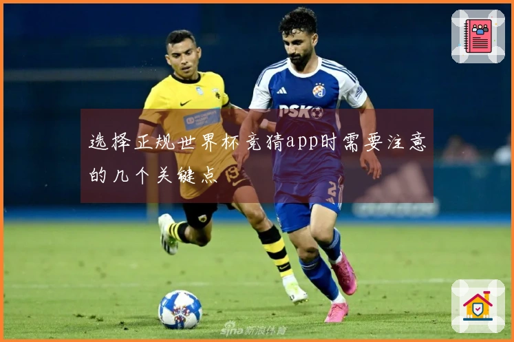 选择正规世界杯竞猜app时需要注意的几个关键点