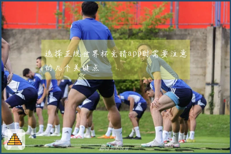 选择正规世界杯竞猜app时需要注意的几个关键点