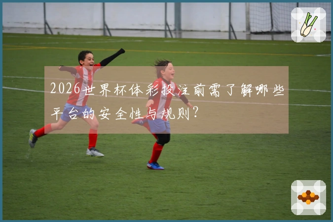 2026世界杯体彩投注前需了解哪些平台的安全性与规则？